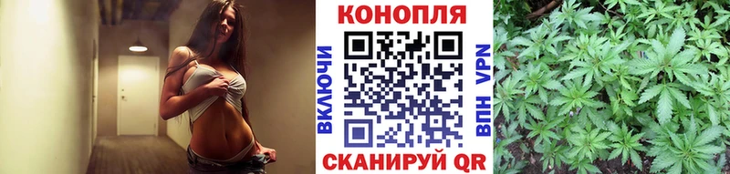 Купить наркоту Юрьев-Польский Галлюциногенные грибы  Меф  ГАШ 
