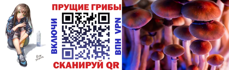 Галлюциногенные грибы мицелий  Юрьев-Польский 
